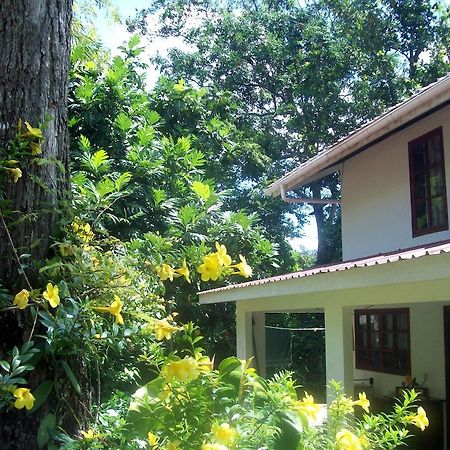 La Rocaille Villa Baie Lazare  Ngoại thất bức ảnh