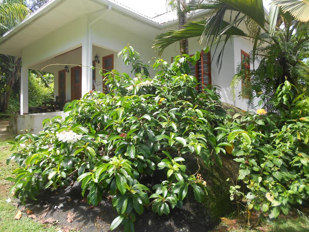 La Rocaille Villa Baie Lazare  Ngoại thất bức ảnh