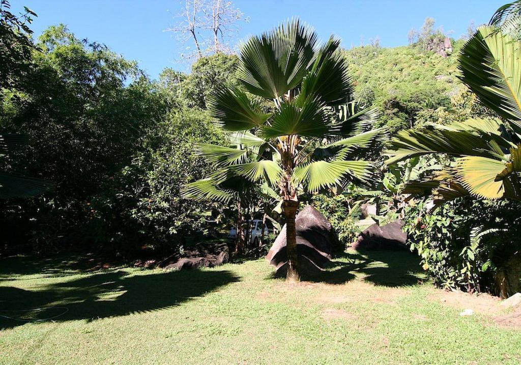 La Rocaille Villa Baie Lazare  Ngoại thất bức ảnh